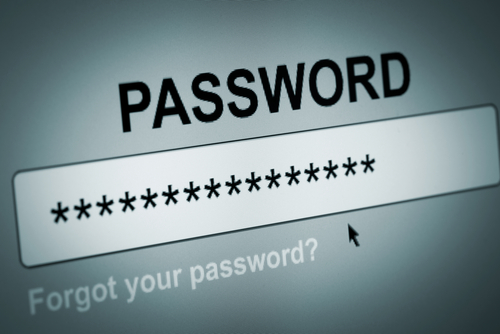 Password entry form