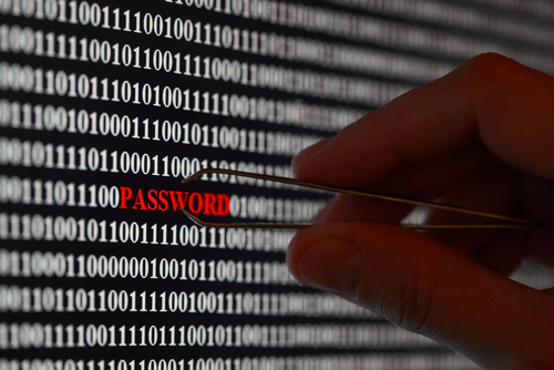 Stolen password concept