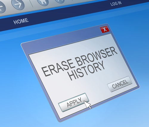 Erase Browser History option