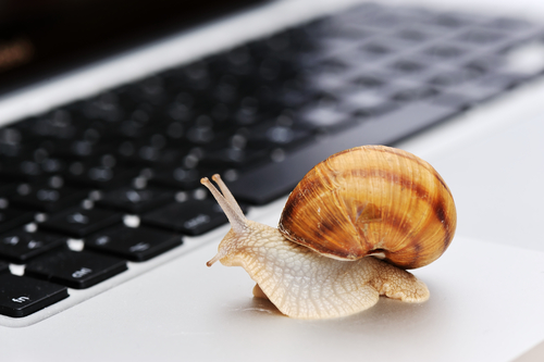 Slow Internet Snail